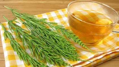 El té de cola de caballo es ideal para la piel