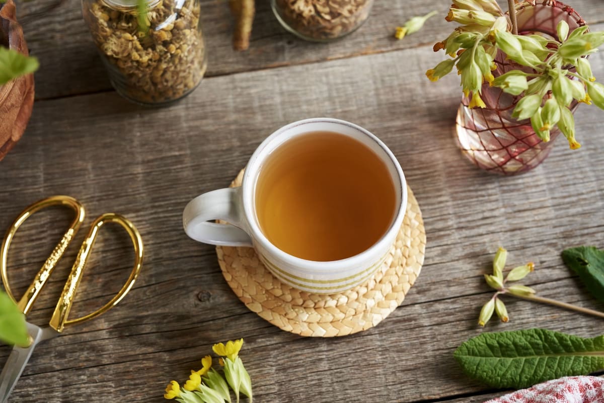 El té de jiaogulan es una de las formas más sencillas de incorporar esta hierba en tu alimentación diaria.