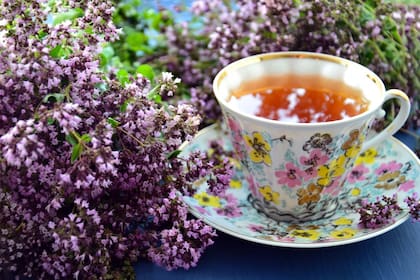 El té de orégano cuenta con propiedades digestivas