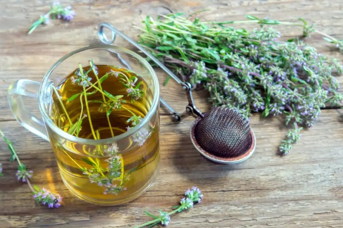 El té de tomillo ayuda a calmar diversas dolencias físicas