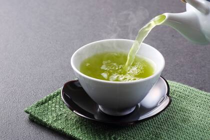 El té verde aporta beneficios para el fortalecimiento de la memoria