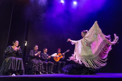El teatro tiene mesas y sillas estilo café concert y brinda dos funciones de música, baile y cante de una hora de duración, todos los días del año.