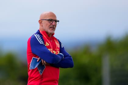 El técnico de España Luis de la Fuente