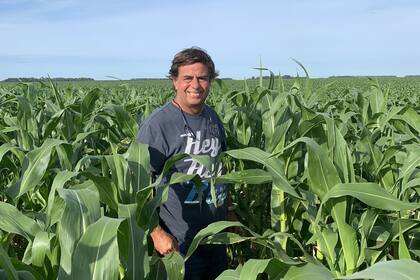 El técnico Luis Benjamín Banks dice que la falta de lluvias condicionó a los cultivos