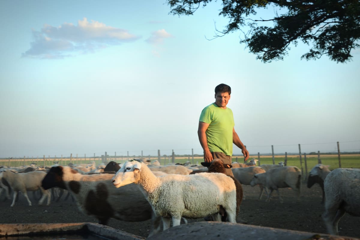 El técnico Martín Sartori busca potenciar la producción