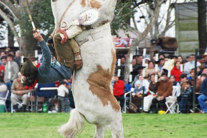 El Temblor, en plena acción
