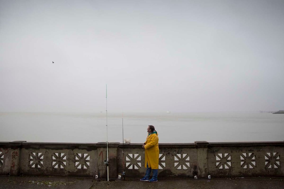 El temporal de frío, lluvia y fuertes vientos que afecta a Buenos Aires ha provocado la caída de algunos árboles e inconvenientes en el tráfico en la ciudad.