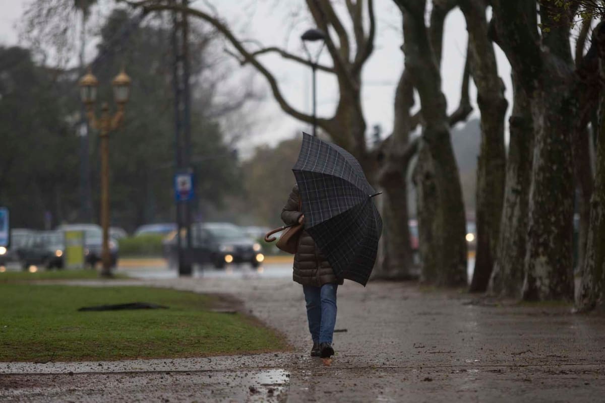 El temporal de frío, lluvia y fuertes vientos que afecta a Buenos Aires ha provocado la caída de algunos árboles e inconvenientes en el tráfico en la ciudad.