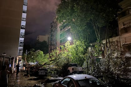 El temporal dejó destrozos en las calles de Mar del Plata.