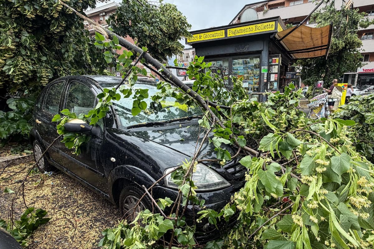 El temporal dejó severos destrozos