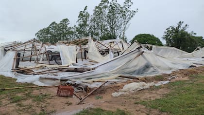 El temporal destruyó infraestructura clave para los productores