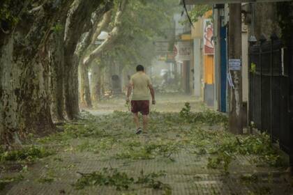 El temporal en localidades de la provincia de San Luis, provocó la voladura de techos, la caída de árboles y el corte del suministro de electricidad.