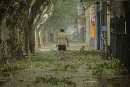 El temporal en localidades de la provincia de San Luis, provocó la voladura de techos, la caída de árboles y el corte del suministro de electricidad.