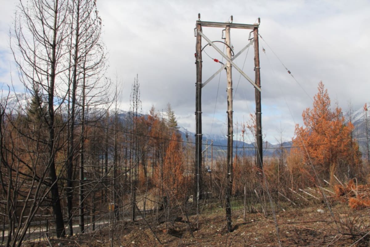 El tendido eléctrico de la localidad de Lago Puelo, en Chubut