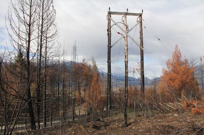 El tendido eléctrico de la localidad de Lago Puelo sufrió un sabotaje el mes pasado