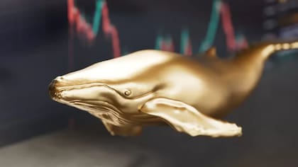 El término "HODL", siempre escrito con mayúscula en las redes sociales, aparentemente tendría su origen en un foro de Bitcointalk, cuando un usuario escribió "I AM HODLING", con falta de ortografía, dando lugar a una de las expresiones más conocidas en el mundo cripto