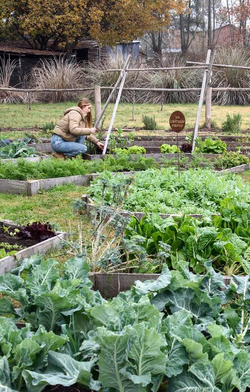 El término "huerta a gran escala" puede variar en su definición dependiendo del contexto y de la región, pero generalmente se refiere a una huerta o área de cultivo que es significativamente grande en comparación con una huerta de tamaño promedio o un jardín familiar.