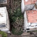 El pasillo verde en medio de la ciudad que el Estado quiere subastar y los vecinos buscan retener