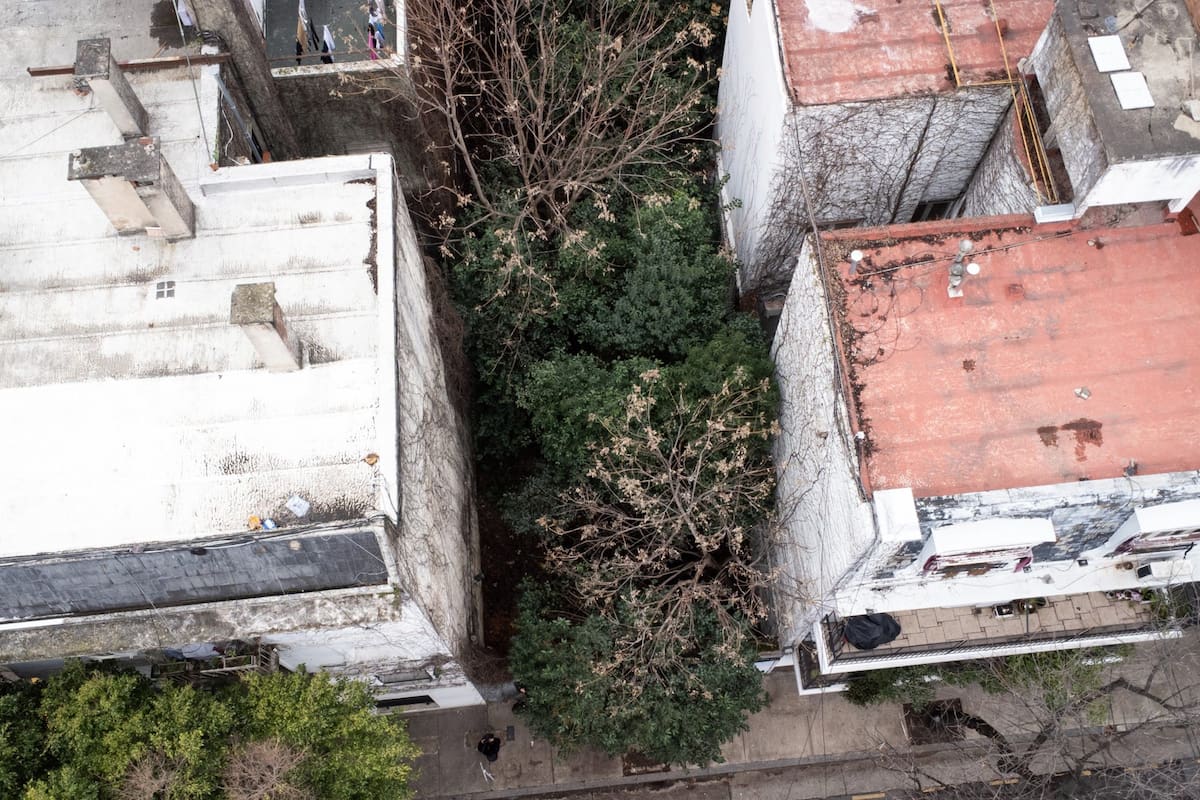 El terreno se encuentra en una de las dos comunas con menor porcentaje de espacios verdes por cada mil habitantes