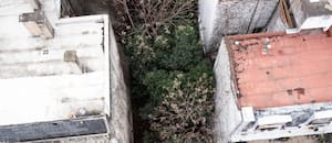 El pasillo verde en medio de la ciudad que el Estado quiere subastar y los vecinos buscan retener