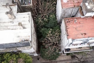 El pasillo verde en medio de la ciudad que el Estado quiere subastar y los vecinos buscan retener