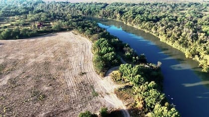 El terreno tiene más de 650 hectáreas