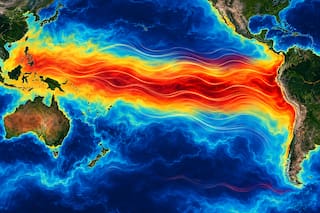 Súper Niño 2026: qué se sabe del fenómeno que cambiará el pronóstico de la Argentina y llegará pronto a su pico máximo