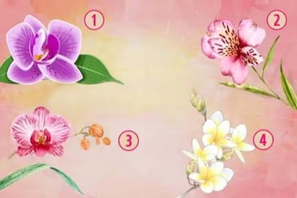 Test visual: cómo es tu personalidad según la orquídea que más llama tu atención