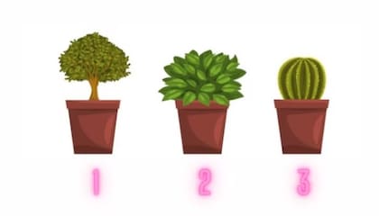 El test de las tres macetas que te invita a descubrir tus fortalezas