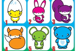 El test de personalidad compuesto por seis animales bebés