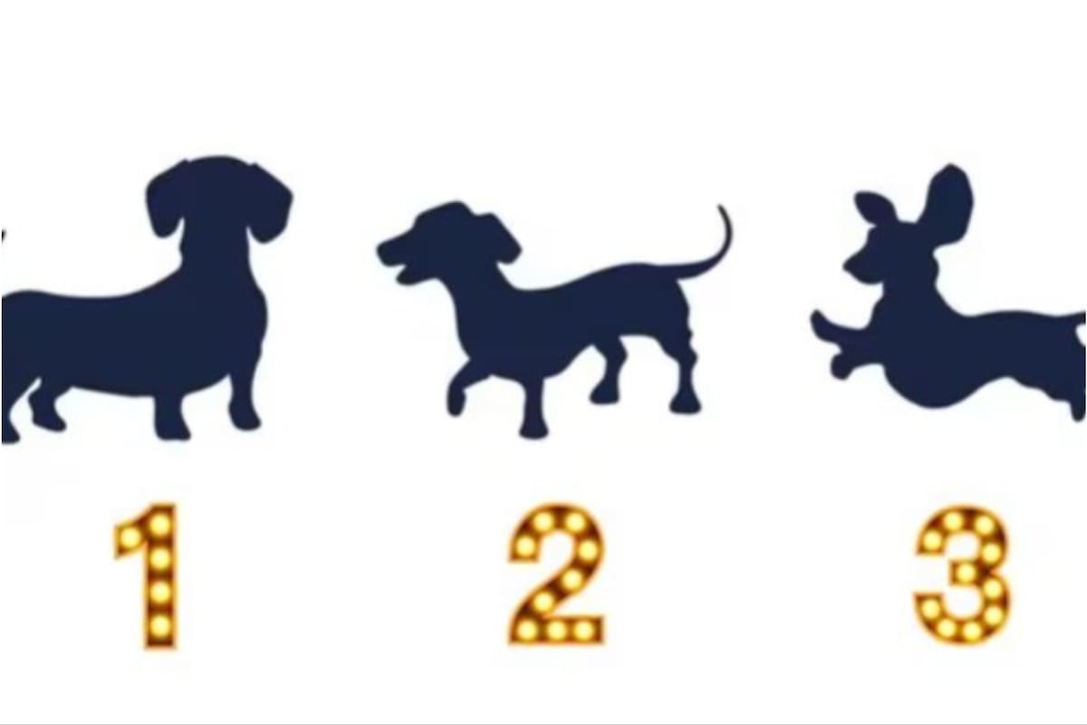 El test de personalidad que determinará qué traba emocional te impide ser feliz