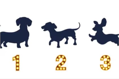 El test de personalidad que determinará qué traba emocional te impide ser feliz