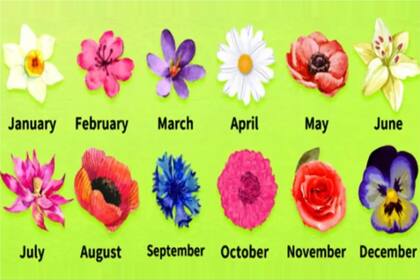 El test de personalidad que pone a prueba a los usuarios