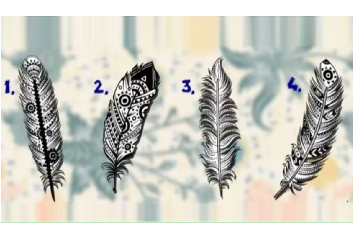 El test visual de la pluma que servirá para conocer cuál es tu objetivo en la vida