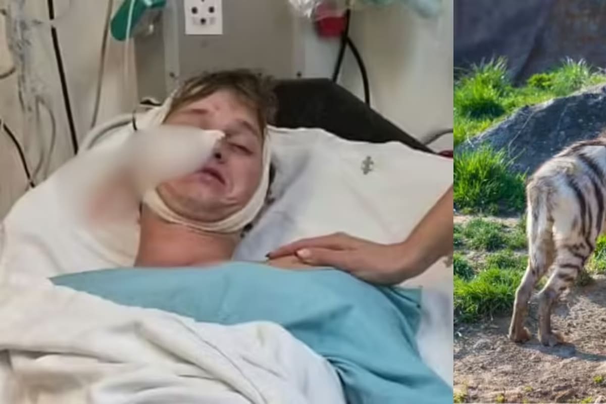 El testimonio de hombre que sobrevivió al ataque de hienas mientras acampaba en Sudáfrica Foto: Vía O Globo. GDA/ iStock