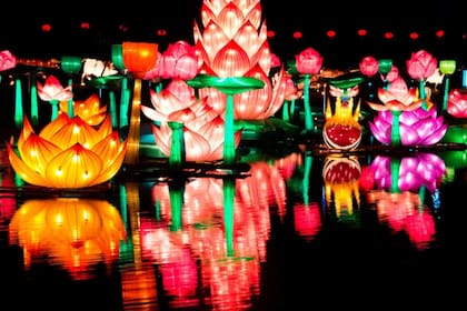 El Tianfu Festival llega por primera vez a la Argentina y se realiza en Tecnópolis