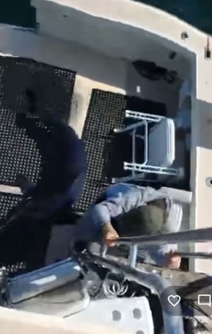 El tiburón cayó al suelo del barco y todos buscaron cómo protegerse de él