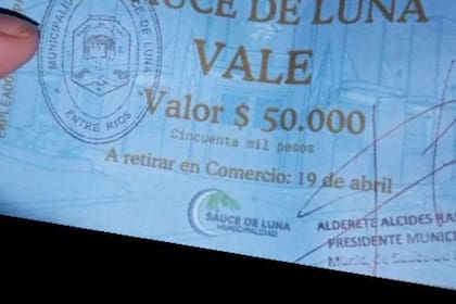 El ticket canasta que entregó el intendente