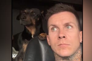 El tierno desenlace de un perrito que fue hallado por un conductor