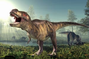 El Tiranosaurio Rex fue uno de los más poderosos depredadores que existieron sobre el planeta