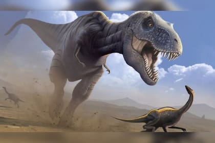 El Tiranosaurios Rex podría correr, pero no tan rápido como sugieren las películas