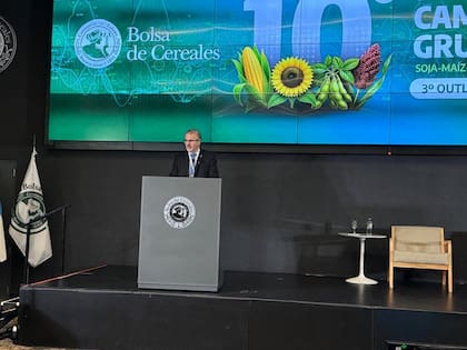 El titular de la entidad fue más allá y planteó que el objetivo debería ser avanzar gradualmente hasta la eliminación de ese tributo