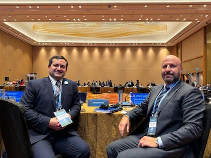 El titular de la UIF Ignacio Yacobucci y el presidente de la Cámara de Casación Mariano Borinsky en Singapur en el encuentro del GAFI