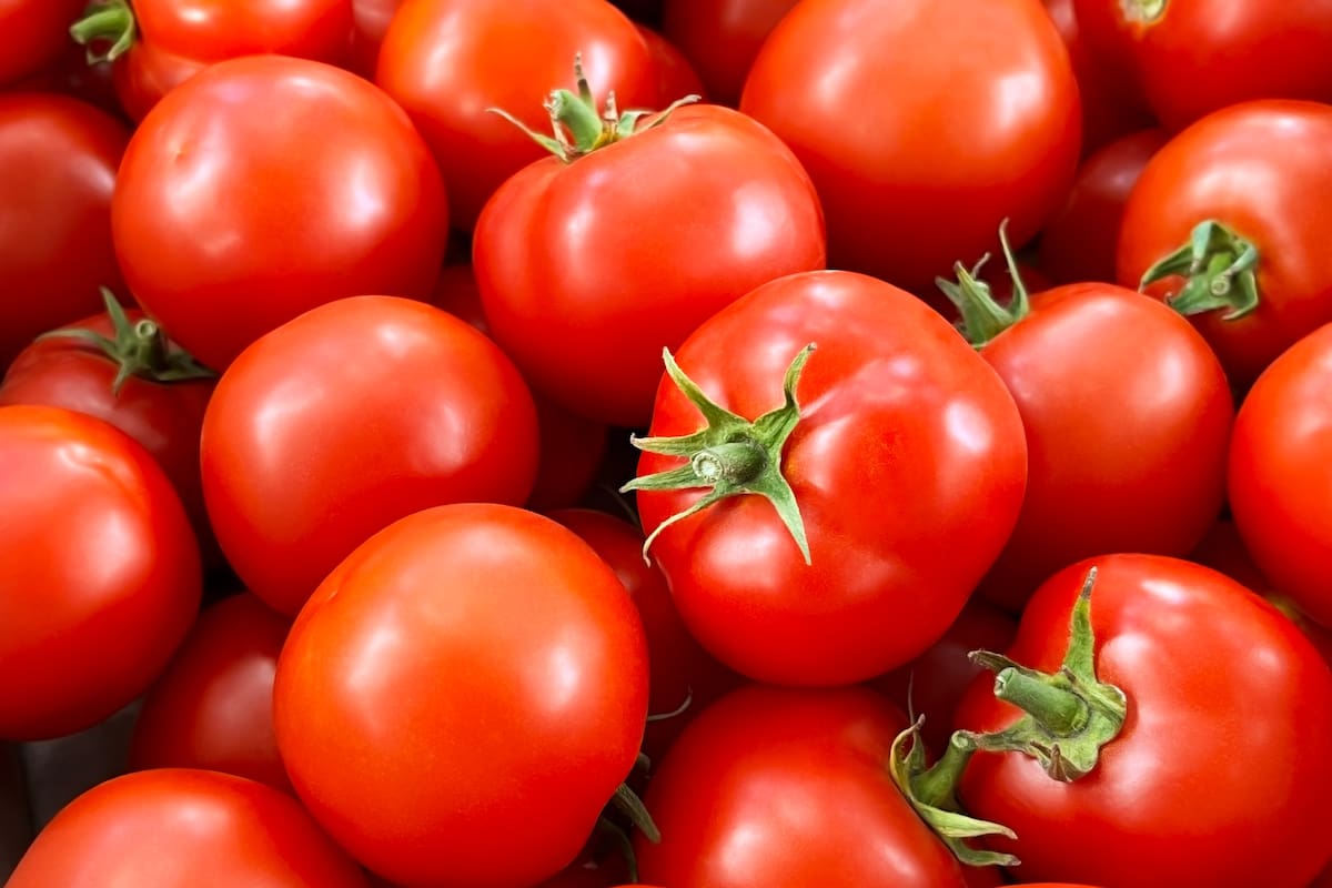 El tomate aumentó un 92,6% en enero