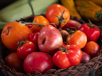 El tomate redondo con un aumento del 105,6%