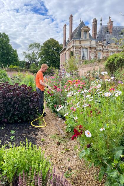 El toque distintivo de la Huerta Miromesnil es la presencia de los encantadores "mix-bordes", parterres mixtos que rodean las áreas de cultivo de verduras. Estos parterres están salpicados de flores que aportan una profusión de colores y fragancias, creando una experiencia verdaderamente británica en medio del corazón de Normandía.