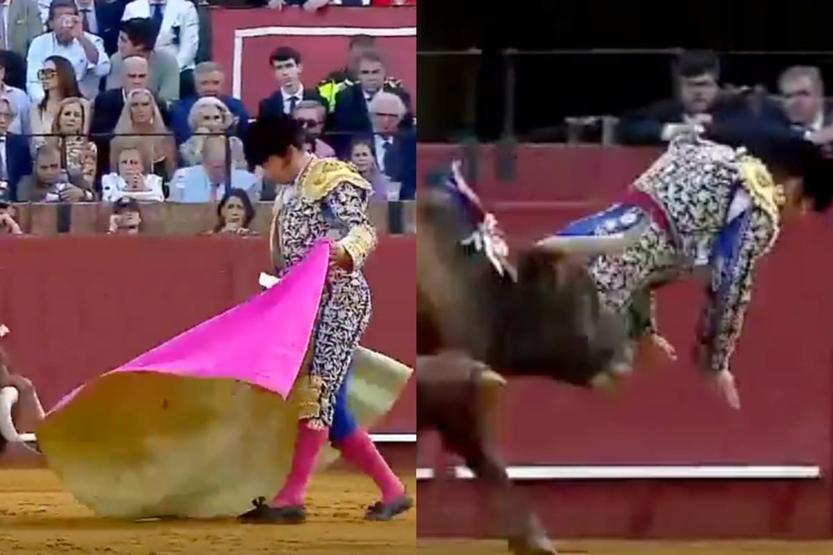 El torero fue operado de urgencia tras la cornada que sufrió durante una corrida.