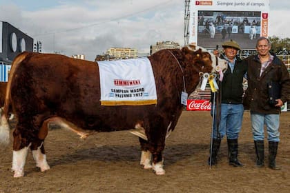El toro campeón de la raza, en Palermo 2017, ahora ganador del World Champion