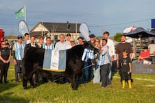 Angus de Primavera: Don Cholo se consagró con el Gran Campeón Macho y La Juanita logró el Gran Campeón Ternero
