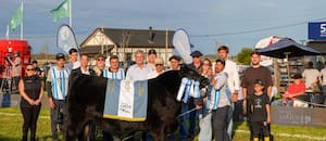 Don Cholo se consagró con el Gran Campeón Macho y La Juanita logró el Gran Campeón Ternero